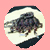 small0001.jpg