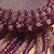 small0006.jpg