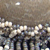 small0007.jpg