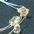 small0021.jpg