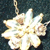 small0030.jpg