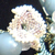 small0032.jpg