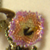 small0033.jpg
