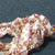 small0037.jpg