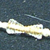small0041.jpg