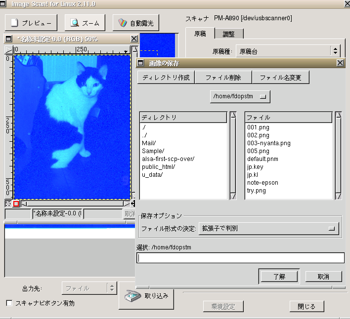 036-w708h646-store.png